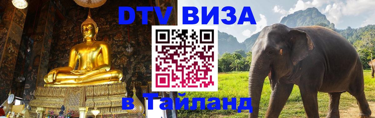 Оформление DTV визы под ключ: стоимость и тарифы, только загранпаспорт - 18.11.2025 
